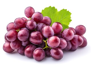 Fototapeta premium Harvesting fresh red grapes vineyard food photography natural setting close-up