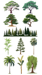 PNG tree element set, transparent background