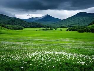 Obraz premium Lush green meadow with wildflowers under dramatic stormy skies in mountains
