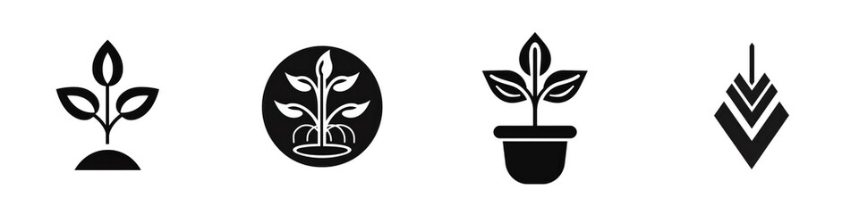 Plant growth stages, icons isolated on white or transparent