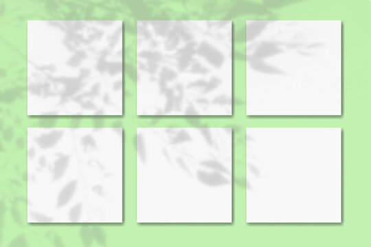 Natural light casts shadows from the foliage of a tree on 6 square sheets of white paper lying on a green background. Mockup