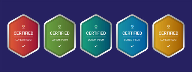 Certificate badge hexagon template vector illustration