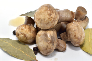 Marinated champignon mushrooms ready to eat lie on a white background