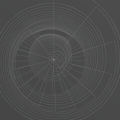 Absctract Circle Spiral Lines Isolated  Gray Vector Background
