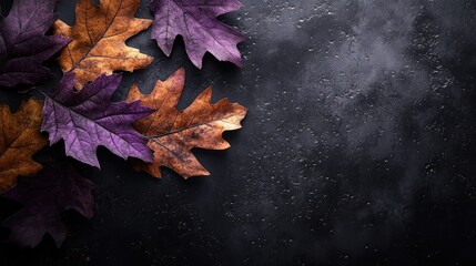 Autumn leaves on dark background, fall design, seasonal decor