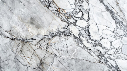 Arabescato marble, bold flowing gray veins on a pristine white base, luxurious and refined for interior design