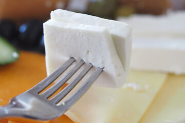 Fresh cheese slice on fork ready to be enjoyed