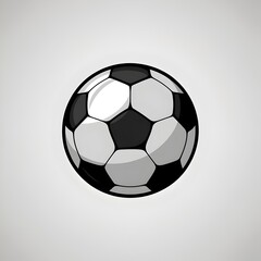 Black and white soccer ball isolated.