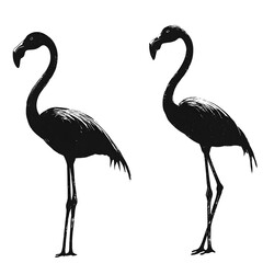 Two elegant black and white flamingo silhouettes stand gracefully in profile against a clean white background perfect for design projects.