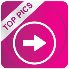 Top Picks Web Button Stock Illustrations  Premium Icons & Graphics for Download