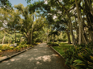 Fototapeta premium path in the park