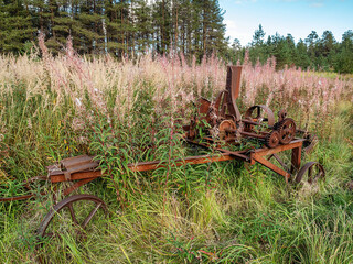 The Far North: the remains of an ancient rusted agricultural machinery in the grass.