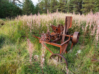 The Far North: the remains of an ancient rusted agricultural machinery in the grass.