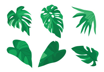 A set of exotic leaves for decoration. Tropical leaves collection © Night  Shift