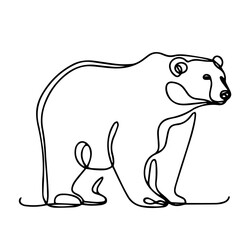 vector illustration of a bear