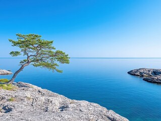 Serene coastal view with a lone tree overlooking calm waters and distant islands