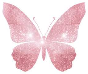PNG Butterfly icon butterfly glitter petal.