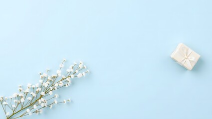  light blue background with a diagonal composition of delicate white baby's breath flowers and two small, wrapped gifts.