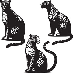 set of Spotted Jaguar running poses,aguar motion study vector, jaguar tattoo outline black and white, sitting jaguar digital line drawing,  © Fiza