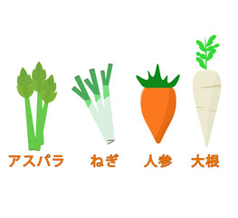 野菜セット。アスパラ、ねぎ、人参、大根。ベクターイラスト
