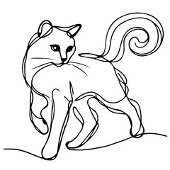 vector image of a cat