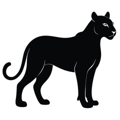black, panther, standing, white, background, long, tail, animal, looking, camera, vector, symbol, wild, illustration, cat, leopard, mammal, silhouette, wildlife, puma, design, predator, icon, jaguar, 