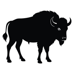 A black buffalo is standing on a white background