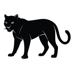 black, panther, standing, white, background, long, tail, animal, looking, camera, vector, symbol, wild, illustration, cat, leopard, mammal, silhouette, wildlife, puma, design, predator, icon, jaguar, 