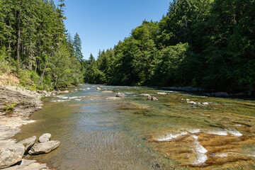 Oyster River Hiking area beautiful mountain nature with tall trees and blue sky Vancouver island British Columbia Canada