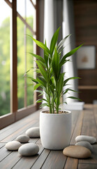 Serene Indoor Plant Flourishing In Soft Sunlight Near A Window, Adding Peace To A Minimalist Home With Smooth Stones And A Textured Pot