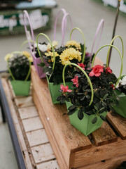 Colorful flower pots with vibrant blooms displayed in a garden center during springtime