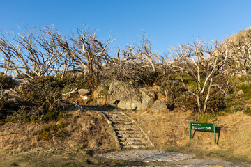 Path to Horn Track lead to the scenic view and highest peak of Mount Buffalo National park, Victoria Australia