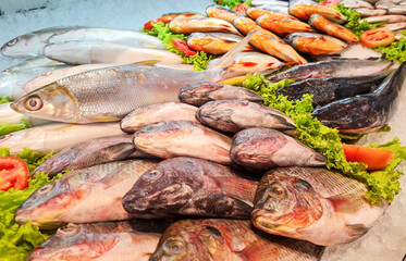 Group of fresh fish at supermarket ready to buy, fish market display. sort of Milkfish, Tilapia, and Catfish.	