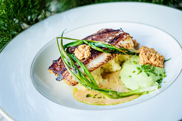 Grilled fish with a smooth green puree and delicate garnishes on a fine plate