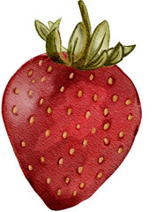 Watercolor Strawberry Illustration - Hand Painted Fresh Fruit Art