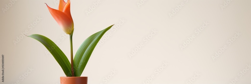 Poster emphasizing simplicity a single flower against a pristine background highlighting intricate details