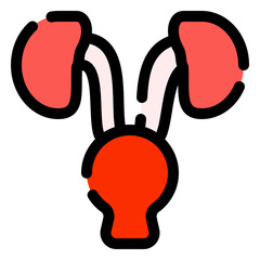 urology icon