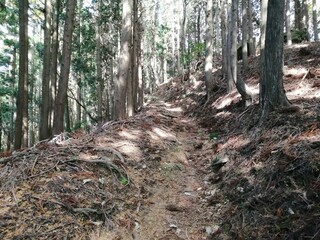 "Enryakuji" written in Japanese. Enryakuji Temple on Mount Hiei, located in Kyoto and Shiga prefectures, Japan.