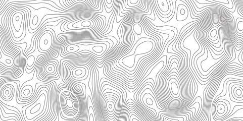 Abstract Topographic Map in Contour Line Light Topographic White seamless texture. Topography map pattern, Geographic curved, vector illustration.