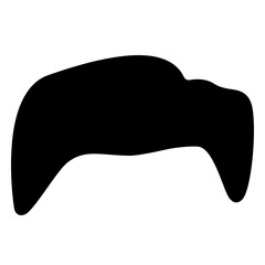 hair icon