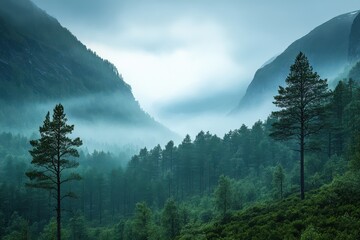 Misty Mountain Forest Valley Landscape Nature Scenery