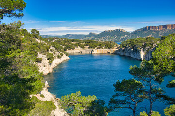 Fototapeta premium Calanque Port Miou bei Cassis an der Cote d'azur