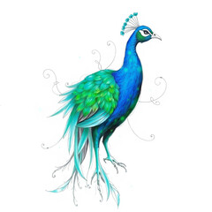 Obraz premium Intricate Peacock-Inspired Artwork on beautiful Background