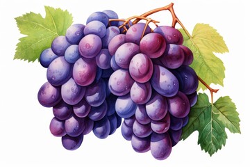Fototapeta premium Isolated bunch of grapes on a white background showcasing freshness and natural appeal