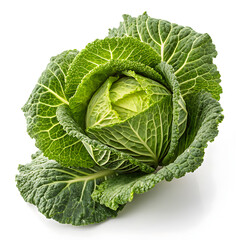 Obraz premium Cabbage isolated on white background