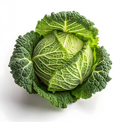 Cabbage isolated on white background