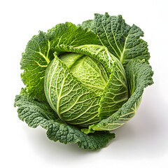 Cabbage isolated on white background