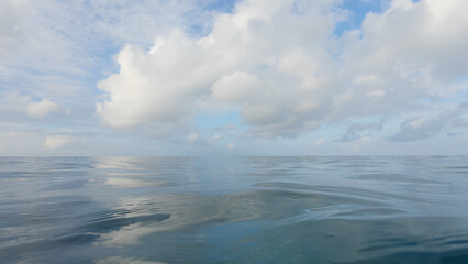 Fototapeta premium POV of swimming in empty ocean background with calm water