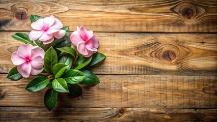 Fototapeta premium Double Exposure Photography: Catharanthus Roses with Flat Lay Wooden Texture, Soft Feminine Aesthetic, Leading Lines for Copy Space Design
