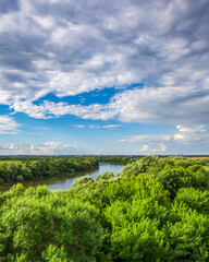 Obraz premium Beautiful, lush green forest with a river running through it